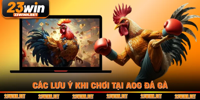 Các lưu ý khi chơi tại AOG đá gà