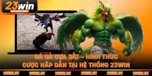 Đá Gà Cựa Sắt - Hình Thức Cược Hấp Dẫn Tại Hệ Thống 23WIN