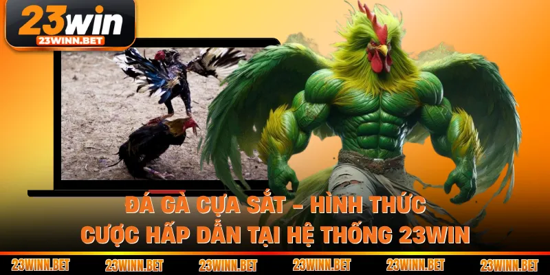 Đá Gà Cựa Sắt - Hình Thức Cược Hấp Dẫn Tại Hệ Thống 23WIN