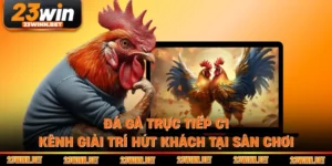 Đá Gà Trực Tiếp C1 - Kênh Giải Trí Hút Khách Tại Sân Chơi