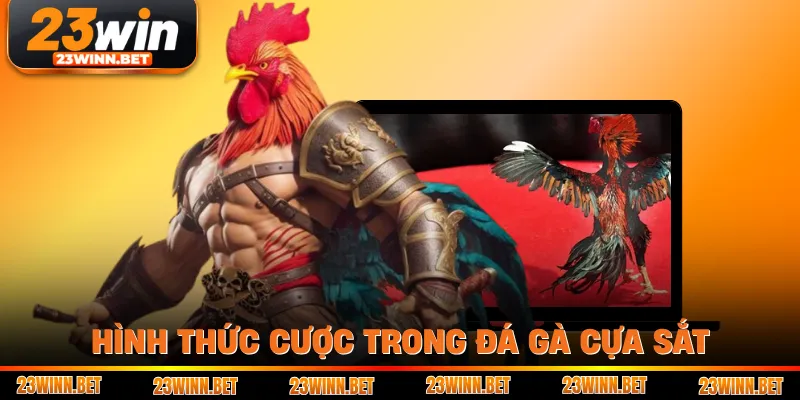 Hình thức cược trong đá gà cựa sắt
