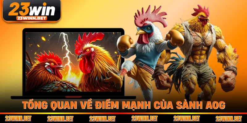 Tổng quan về điểm mạnh của sảnh AOG
